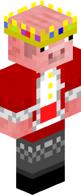 Tamim32 Minecraft character