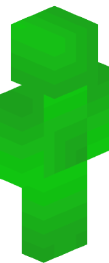TurtleMasterYT Minecraft character