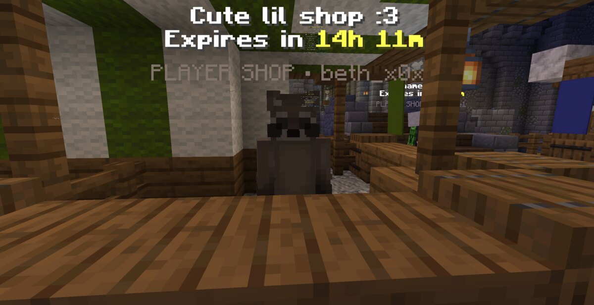 A player shop at spawn